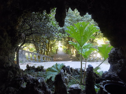 Jardín visto desde el interior de una gruta
