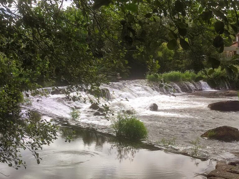 Agua del río entre rocas y vegetación