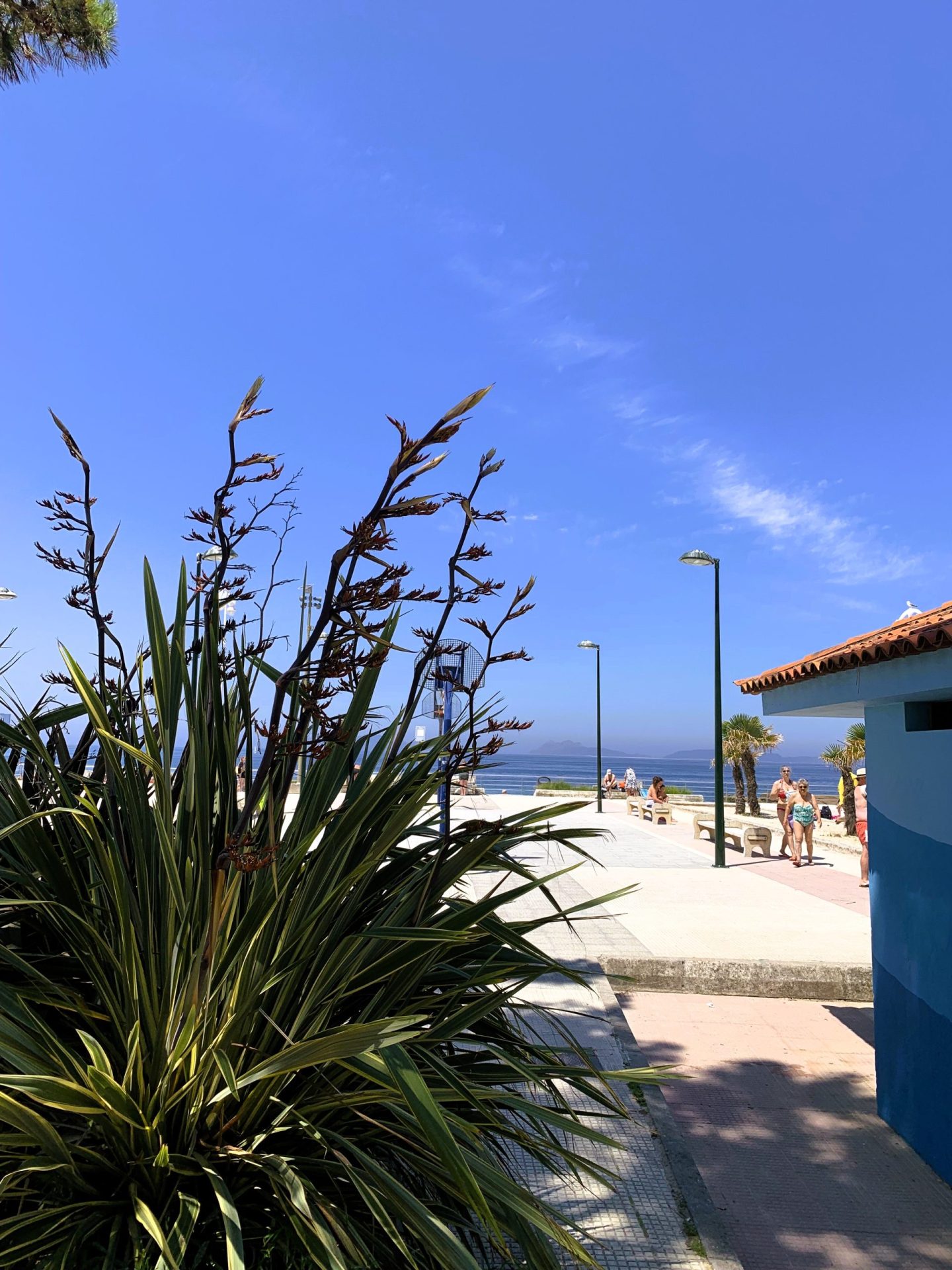 Jardín junto al paseo de la playa de Samil