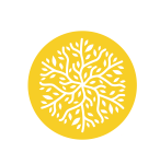 Galicia Original Tours