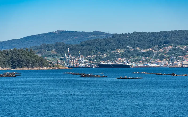 Barcos y bateas en la ría de Pontevedra