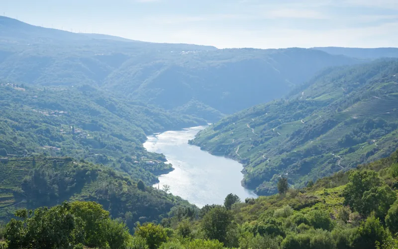 Paisaje de la Ribeira Sacra