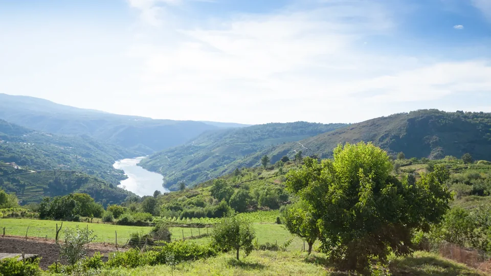 Viñedos y paisaje del río Sil en la Ribeira Sacra Viñedos y paisaje del río Sil en la Ribeira Sacra