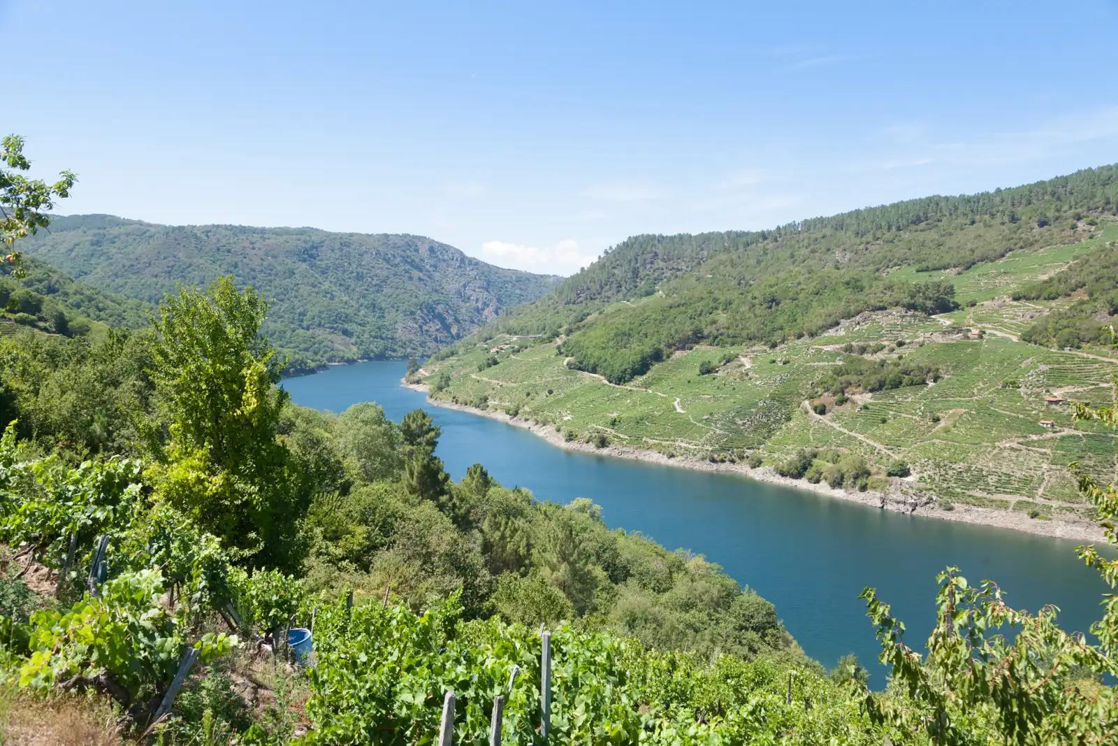 Paisaje de la Ribeira Sacra, Galicia