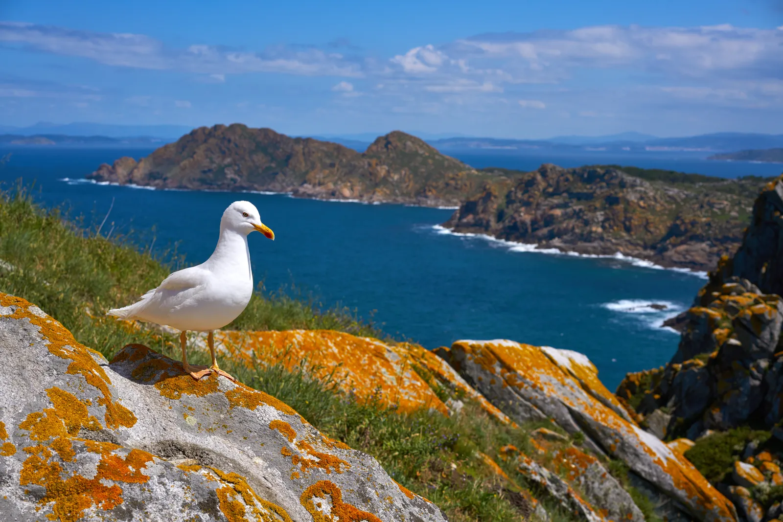 Paisaje de Galicia